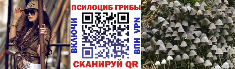 Купить Клинцы Псилоцибиновые грибы ЛСД