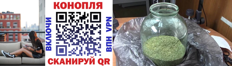 Купить где  Клинцы  Канабис White Widow 